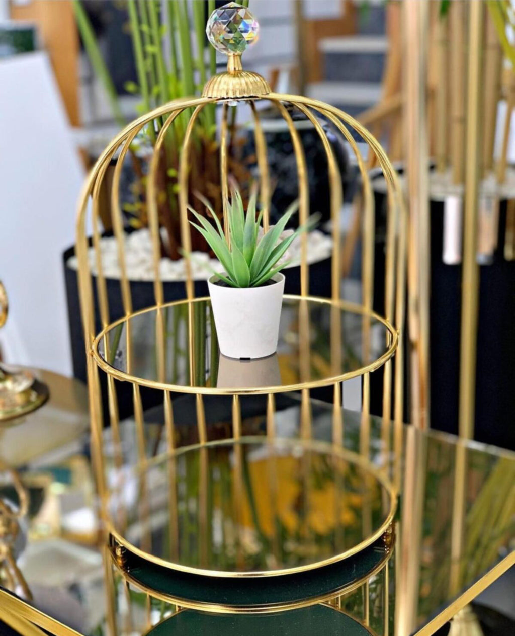 Decorative Golden Cage 2L