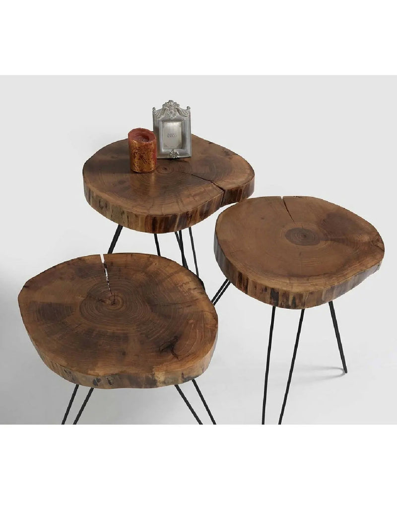 Walnut Natural Wood Zigon Tables, Set of 3